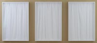 Utility Series 2016
voile, tulip wood, acrylic, museum glass, each panel 124 83 x 7cm